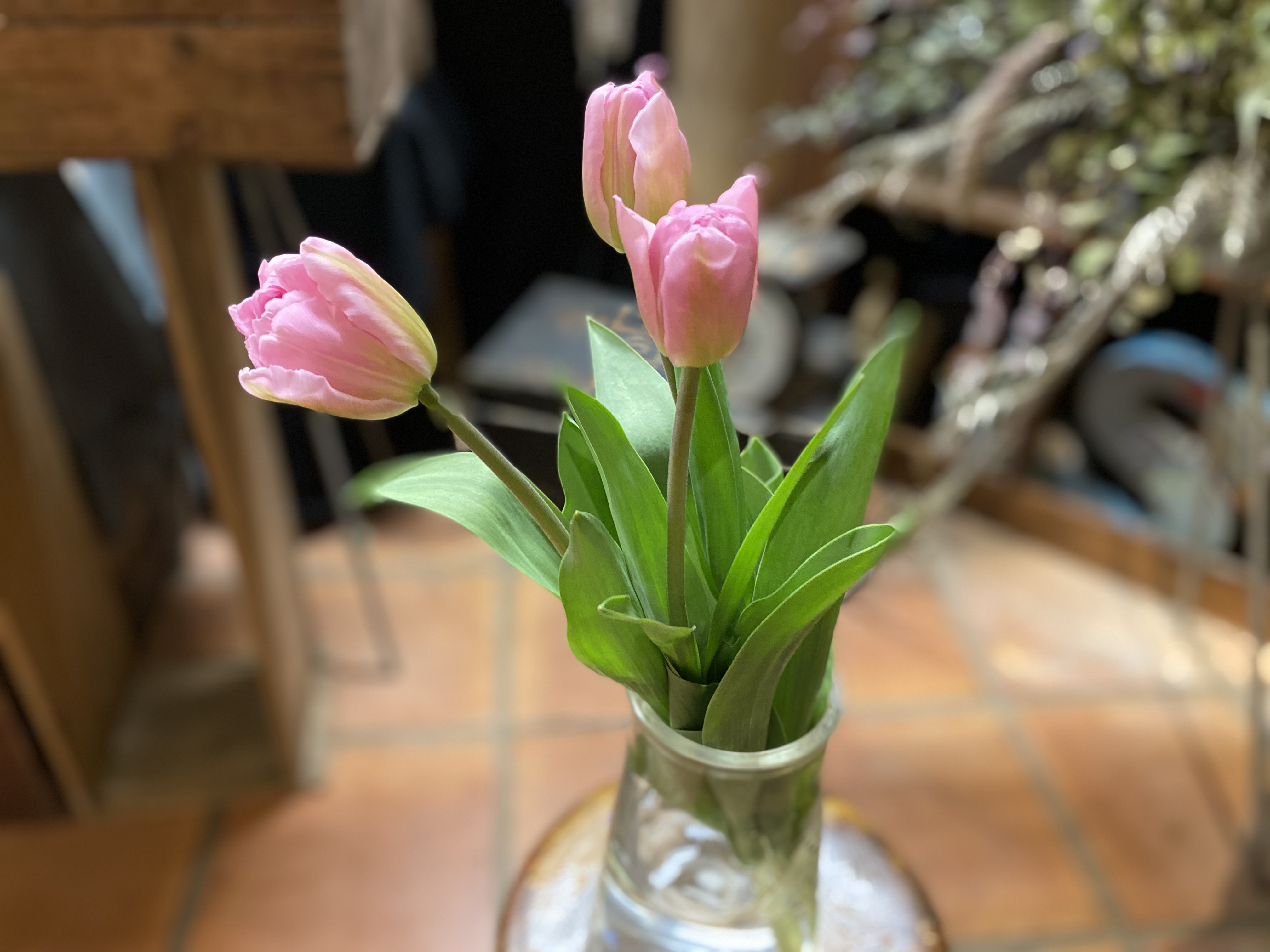 Pepe S Dictionary No 10 チューリップ 倉敷のお花 雑貨 観葉植物 フラワーショップ Pepe ペペ Pepe S Dictionary No 10 チューリップ 倉敷のお花 雑貨 観葉植物 フラワーショップ Pepe ペペ